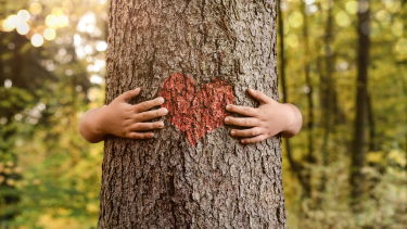 Tree Hug Large tree with arms wrapped around it and a drawn heart in the middle of the tree between the two hands
